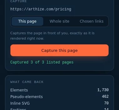 The CopyAnySite side panel: capture modes, the capture report and the export list.
